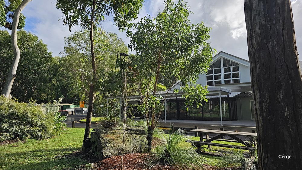 On the left, there are several trees and a large tree stump surrounded by grass and small plants. On the right, there is a building with large windows and a gabled roof, partially obscured by trees. In the foreground, there is a wooden picnic table and more greenery. The background features additional trees and part of the building. The floor is grassy with patches of mulch around the plants.
