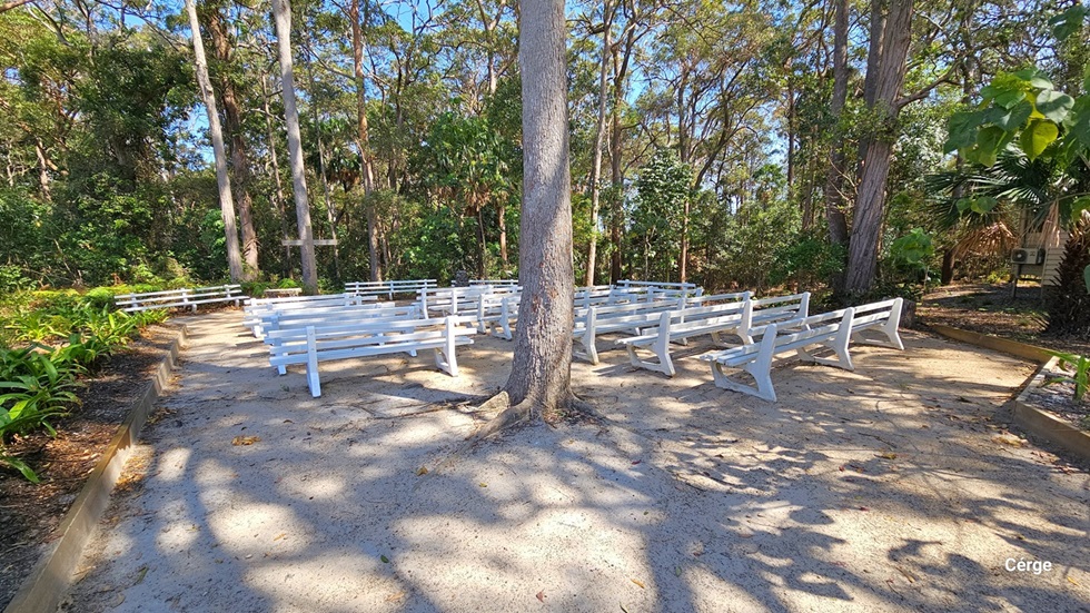 An outdoor scene with numerous white benches arranged in rows on a concrete ground amidst a wooded area. Trees are scattered throughout. On the left is a concrete plant box with ornamental plants.