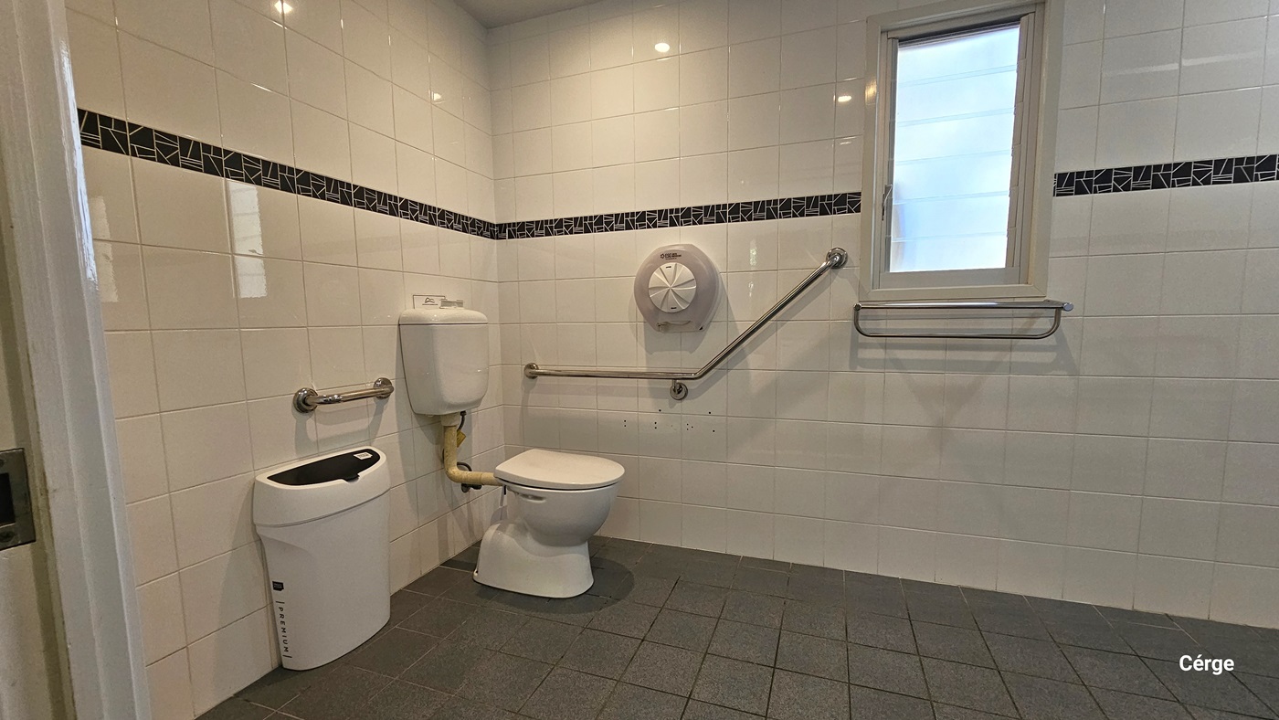 Inside the toilet, a toilet bowl is positioned in the left corner along with a hand grab, rubbish bin, and tissue dispenser. The wall has white tiles with a line of black prints as an accent. The ceiling is white, and the floor has grey tiles. A small window and another hand grab are positioned on the right.