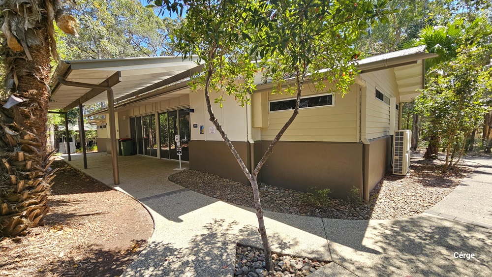 A winding concrete and gravel pathway leads through a wooded area with a mix of trees and shrubbery towards a cream, single-story building in the distance. Along one side, wooden beams border the landscaped area, and a rope fence runs parallel to the walkway on the other side.