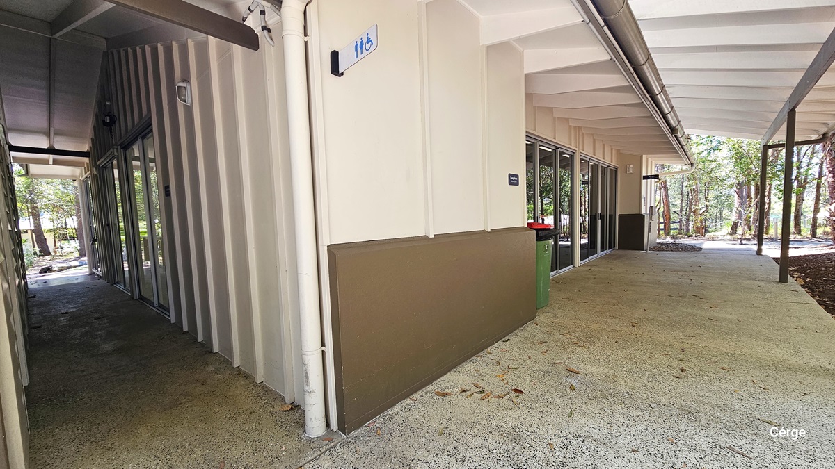At the corner of the building, there is toilet signage. The wall has a taupe and cream finish with wooden panel accents. The ceiling is cream with exposed large pipes. A green rubbish bin is placed against the wall on the right. Trees are visible on the far right.
