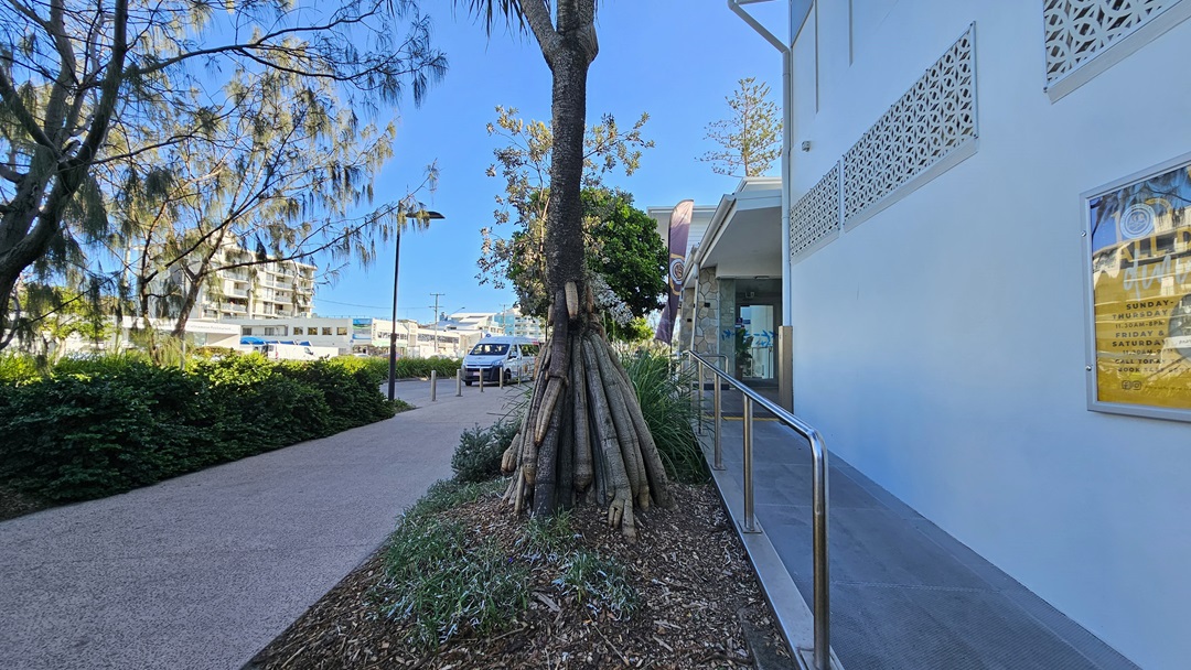 On the left, there is a pathway bordered by bushes and trees, leading to a distant building. In the middle, a tree is supported by wooden stakes, surrounded by mulch and low plants. On the right, a white building with a perforated design near the roof has a glass door entrance with a metal handrail and a poster on the wall. The floor is a mix of concrete paving and a textured path.