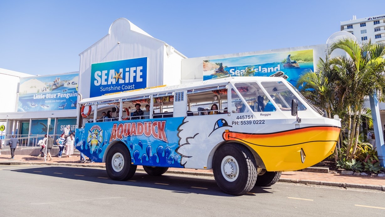 Aquaduck in front of SEA LIFE Sunshine Coast white corrugated building with two large posters for Little Blue Penguin and Sea Island on the upper left and right wall. Aquaduck is a large bus with orange-white color schemes, blue waves, a logo, and the word “AQUADUCK” on the side. Inside the bus are blue seats occupied by visitors. The bus front resembles the head of a smiling duck with a big yellow beak. To the back are people near ramp access with handrails, while behind are palm trees.