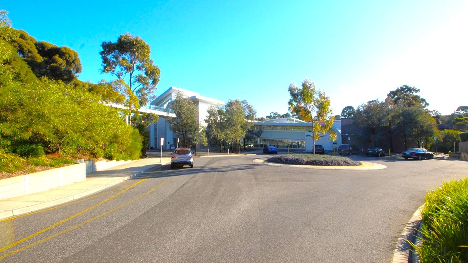 A wide road curves around a landscaped roundabout in the foreground. On the left, dense green foliage lines a concrete wall. In the centre, a modern building with a white roof is partially visible, surrounded by tall trees. To the right, more trees and a few parked cars are present. The sky is clear and blue.