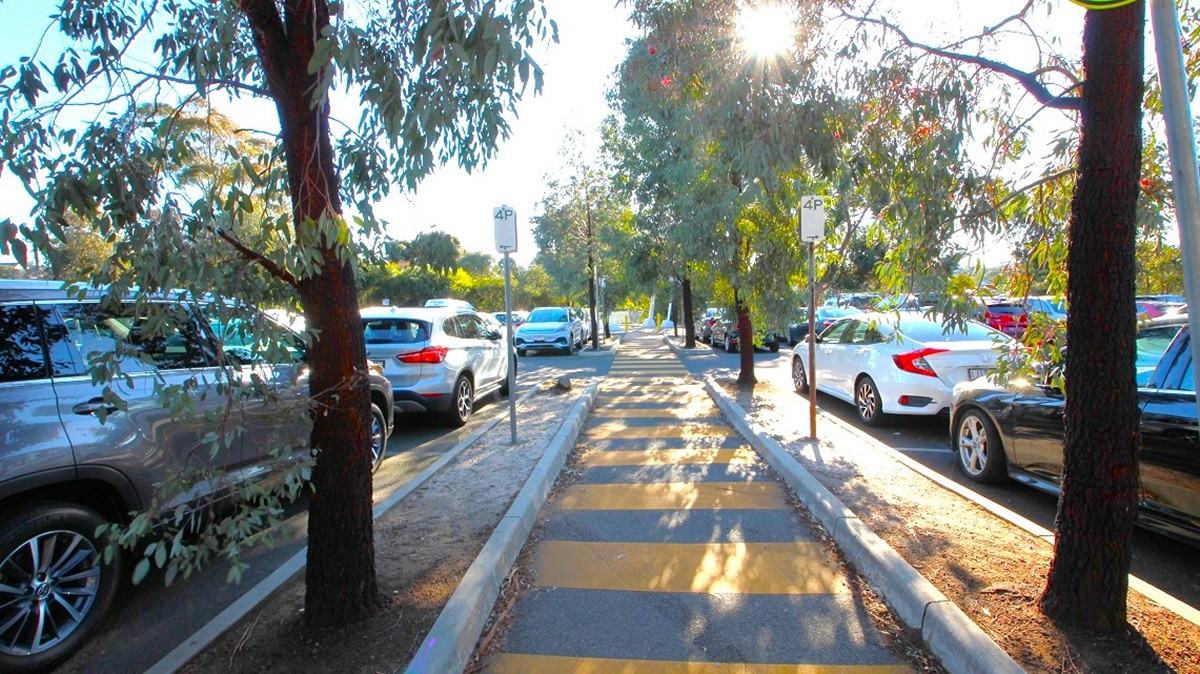 A tree-lined path with alternating yellow and grey stripes runs through the centre. On both sides, cars are parked parallel to the path. The left side has a mix of silver and dark-coloured vehicles, while the right side features white and dark cars. Sunlight filters through the trees, casting shadows on the path. The ground beside the path is bare soil, and there are signposts along the way.