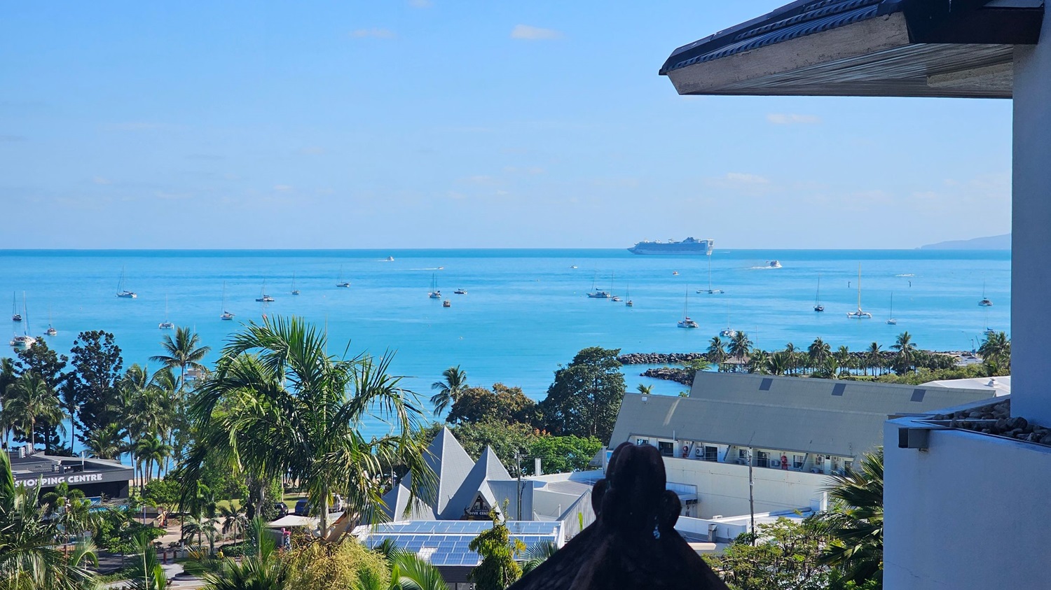 A view of a coastal area with a clear blue sea dotted with numerous small boats. In the distance, a large cruise ship is visible on the horizon. The foreground features lush green palm trees and a shopping centre with a visible sign. Buildings with angular roofs and solar panels are also present. The right side of the image shows part of a building with a sloped roof.