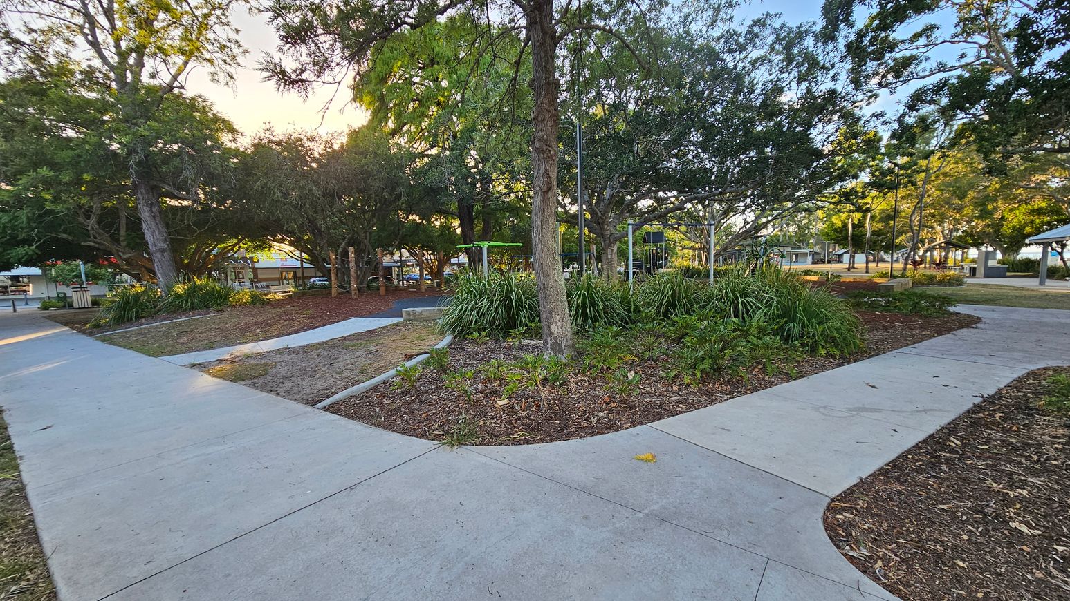 Concrete paths intersect in a park setting, surrounded by trees and greenery. In the centre, a tree is encircled by a landscaped area with plants. To the left, more trees provide shade, and a small structure is visible in the background. On the right, additional trees and a glimpse of a building can be seen. The ground is covered with mulch and grass, and the area is well-maintained.