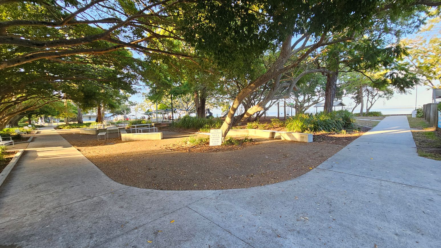 A park with a concrete path splitting into two directions. On the left, the path is lined with benches and shaded by large trees. In the centre, a tree with a sign at its base is surrounded by a circular seating area. On the right, the path leads towards more trees and a glimpse of water in the distance. The ground is a mix of concrete and mulch, with scattered leaves. The area is well-lit, suggesting daylight.