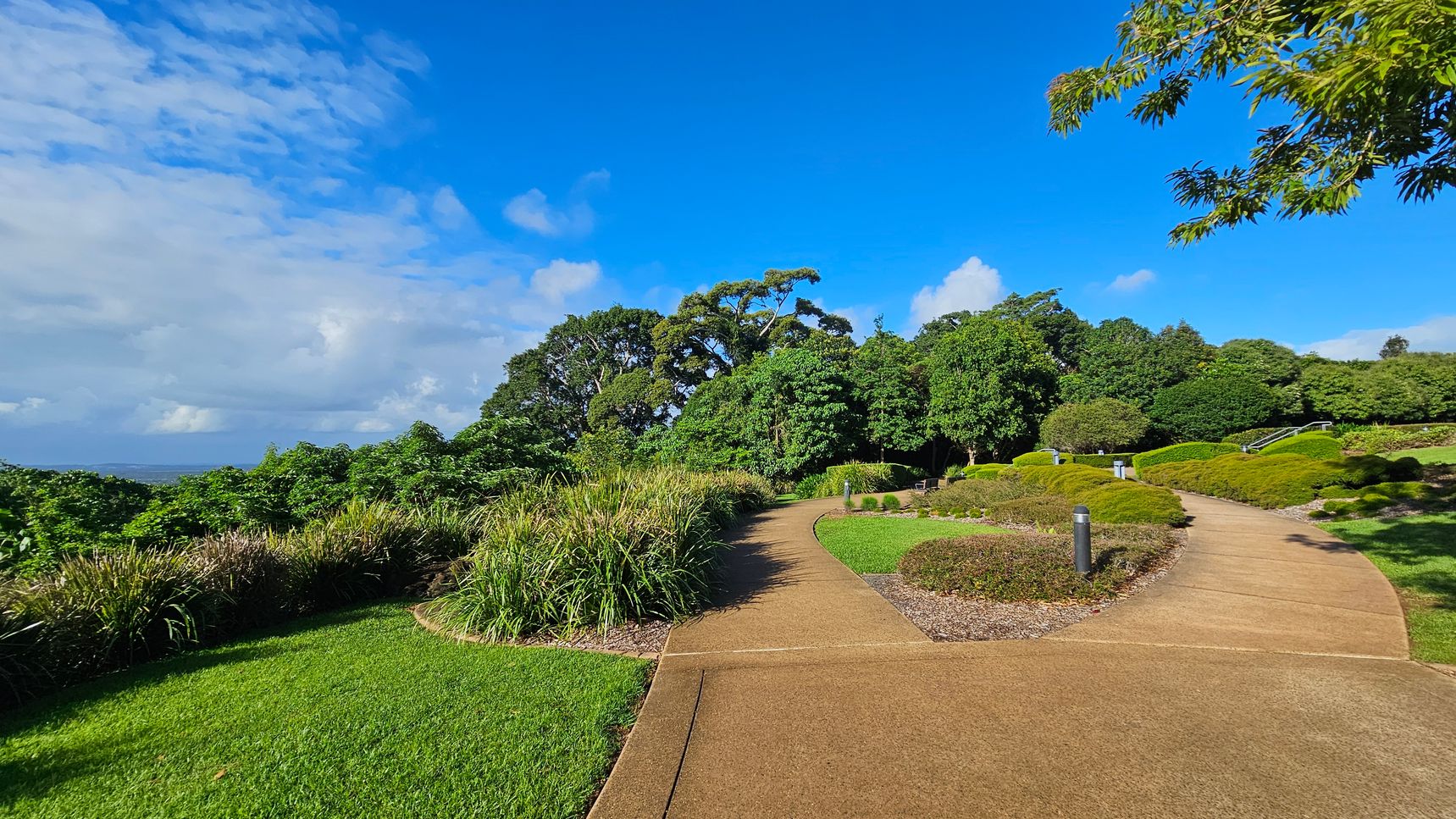 A well-maintained garden path curves through lush greenery. On the left, dense bushes and tall grasses border the path, with a vibrant green lawn in the foreground. On the right, the path is flanked by neatly trimmed shrubs and small trees. In the background, large trees with thick foliage rise against a clear blue sky. A few small bollard lights line the path, and a bench is partially visible among the greenery.