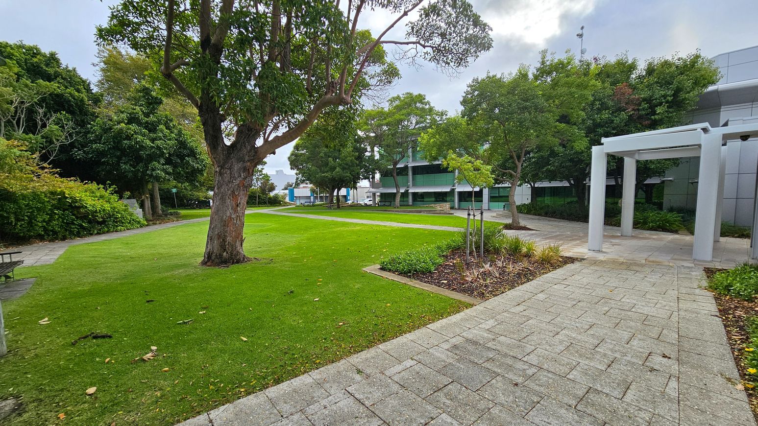 A landscaped area with a large tree in the centre, surrounded by well-maintained grass. On the left, there is a bench near dense foliage. On the right, a paved path leads to a modern building with large windows, partially obscured by trees. A white pergola structure stands near the path. The background features more trees and a glimpse of additional buildings. The ground is a mix of grass and paving stones.