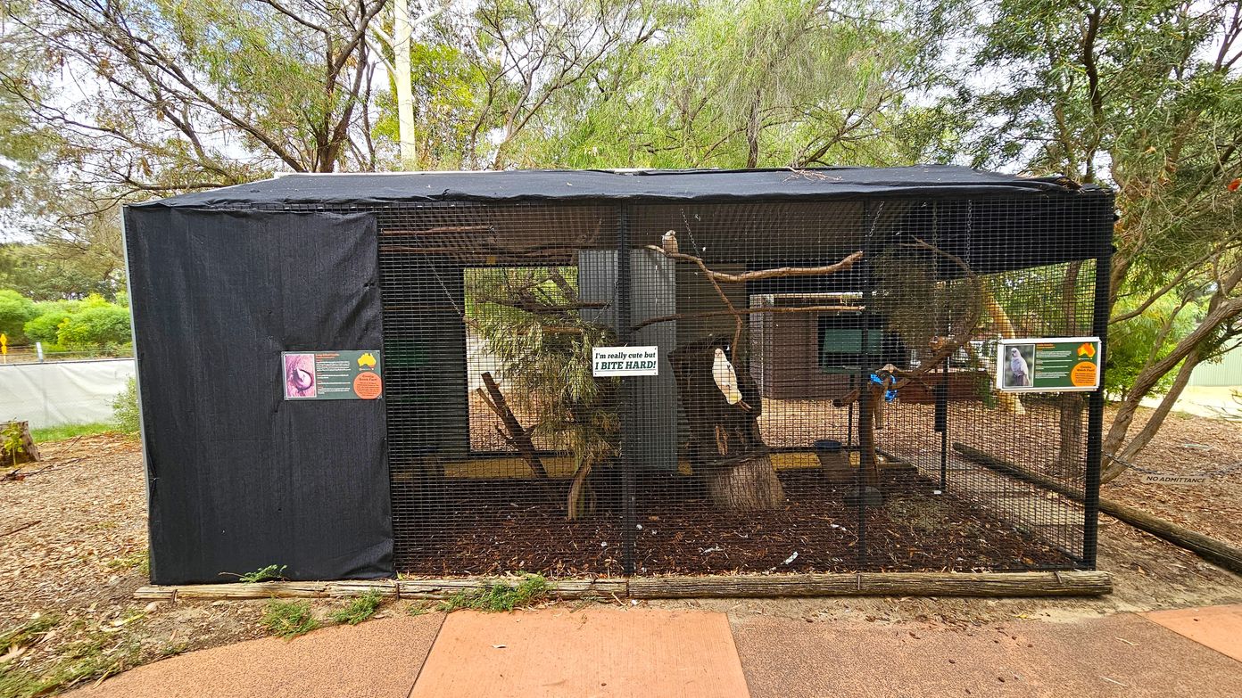 A rectangular outdoor aviary with a black mesh covering. Inside, there are branches for perching and a sign that reads, "I'm really cute but I BITE HARD!" On the left, a sign with information about the enclosure. The ground is covered with mulch, and there are trees in the background. The aviary is set on a paved area with some greenery visible around it.