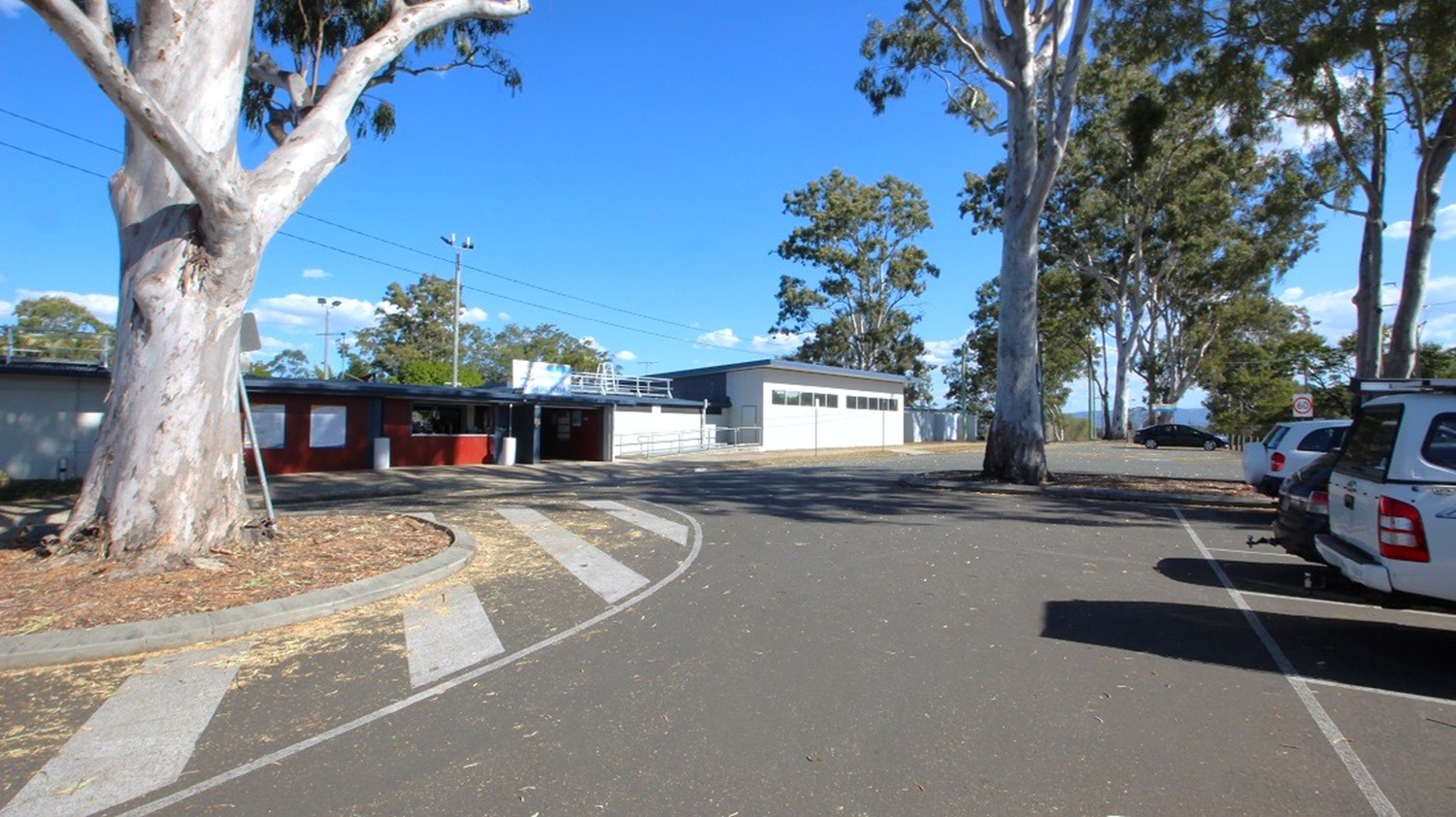 A paved area with a large tree on the left, surrounded by a circular patch of mulch. To the right, several parked cars are lined up along the edge of the pavement. In the background, there are buildings with flat roofs and a few trees scattered around. The sky is clear, and the area is well-lit by sunlight.