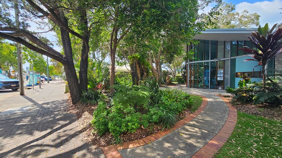 A curved path with a brick border leads to a modern building with large glass windows on the right. Lush greenery, including ferns and various plants, surrounds the path. On the left, a paved walkway runs alongside the street, where several cars are parked. Tall trees provide shade, and a mix of sunlight and shadows covers the ground.