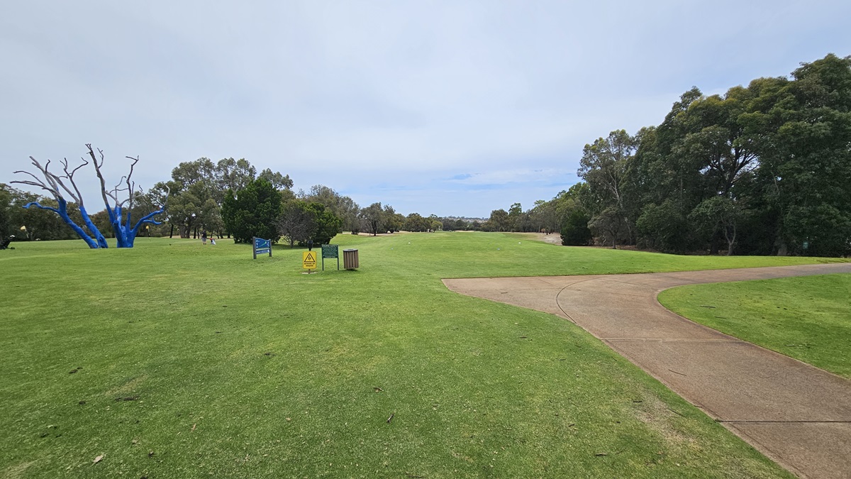 On the right, a curving concrete path leads to the right. To the left, there is a spacious green area. Adjacent is a tree trunk painted blue. Free Standing banners are positioned in the middle, accompanied by a rubbish bin. Tall trees encircle the area.