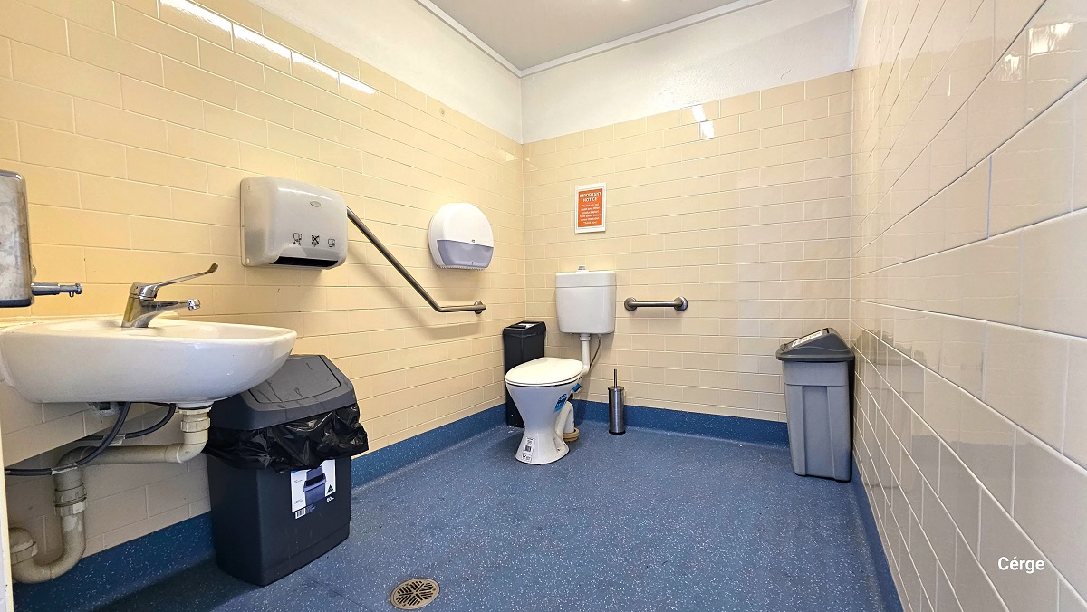 Inside look at the accessible bathroom at Cleveland Aquatic Centre. It has a blue with white dots floor, a cream-colored brick wall, and a white ceiling. To the left wall is the hand basin, a grey garbage bin with a black plastic bag. Towards the middle is the hand dryer, a grab bar, and the white toilet paper holder. To the back is the toilet, a toilet brush, a short grab bar, and another grey garbage bin.