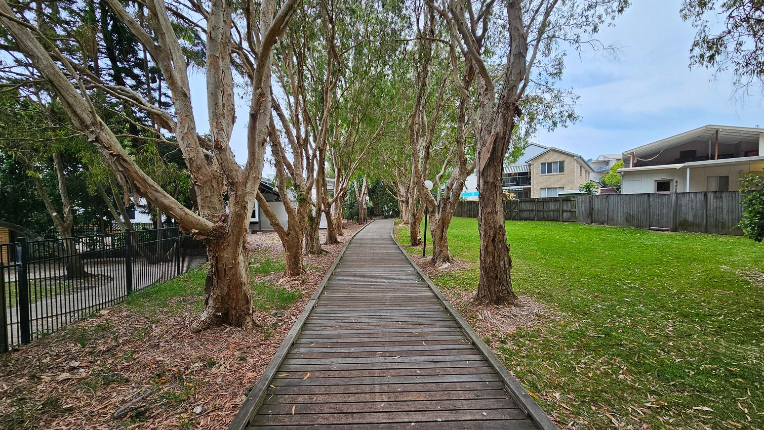 A wooden boardwalk runs through the centre, flanked by tall trees with slender trunks and leafy branches arching overhead. On the left, there's a black metal fence and a small building. On the right, a grassy area leads to residential houses with light-coloured exteriors and a wooden fence. Fallen leaves and bark litter the ground around the trees.