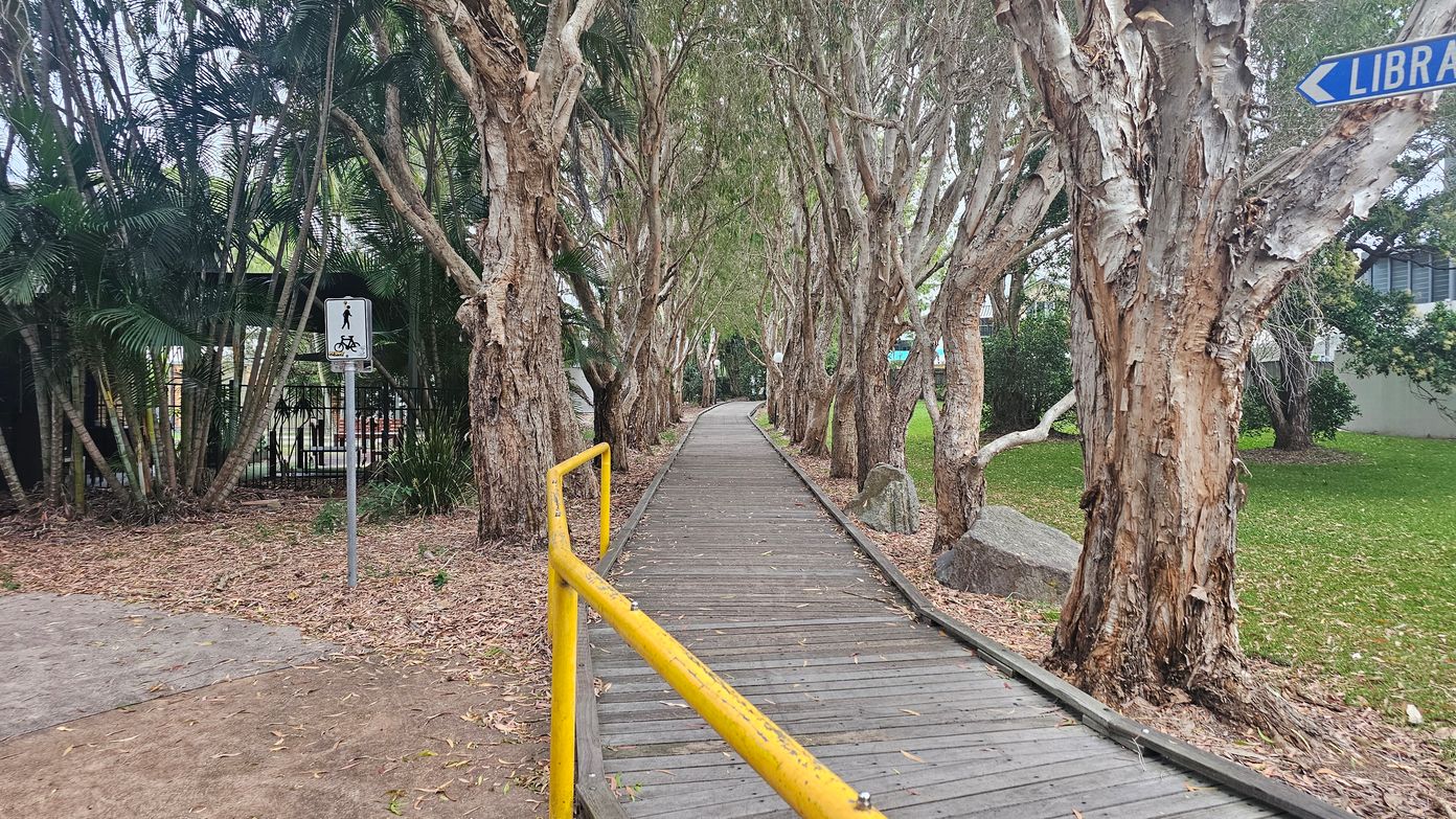 A wooden boardwalk runs through a row of tall, peeling-bark trees. On the left, a yellow handrail lines the path, and a sign indicates a shared path for pedestrians and cyclists. Dense foliage and a metal fence are visible in the background. On the right, a grassy area with more trees and a blue sign pointing towards a library. The ground is covered with fallen leaves and bark.