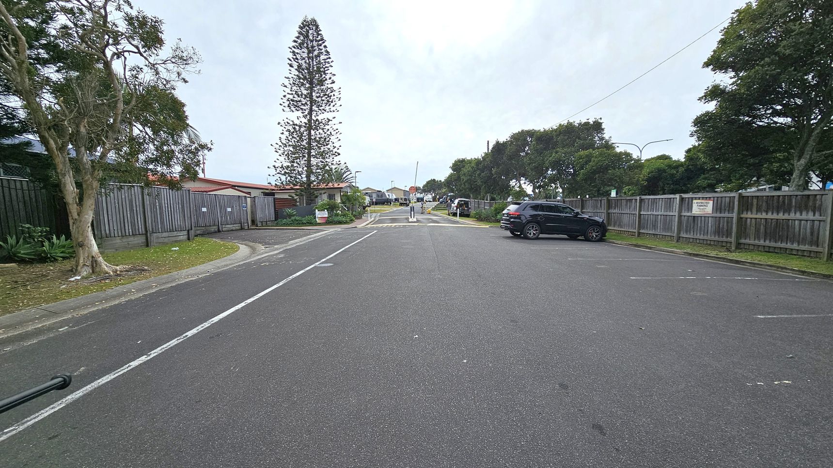 A quiet street with a wide road in the foreground. On the left, a tree stands next to a wooden fence, with houses visible behind it. On the right, a black car is parked near another wooden fence, with trees in the background. In the centre, a tall, narrow tree is visible, and further down, a pedestrian crossing with a stop sign. The area is lined with greenery and residential buildings.