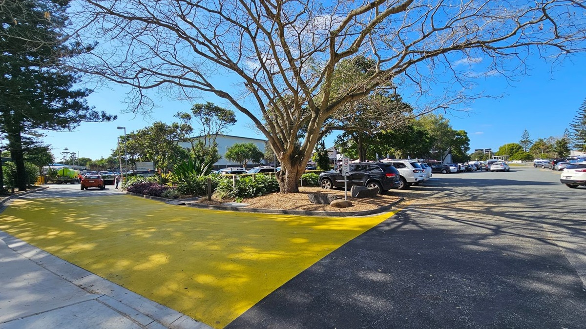 A large tree with bare branches stands in the centre, surrounded by a mulched area. To the right, several parked cars are visible in a car park. On the left, a yellow-painted section of pavement leads towards a road with more vehicles, including a green truck and an orange car. The background features a building partially obscured by trees and shrubs. Shadows of the tree branches stretch across the ground.