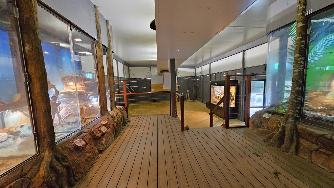 Inside the amphibian and reptile habitat. The floor surface visibly features timber flooring throughout. Two large displays that accommodate a range of animals are prominent on both sides. Further down the staircase, a small display is visible. Wooden handrails and barriers with narrow, thin steel wire are noticeable.