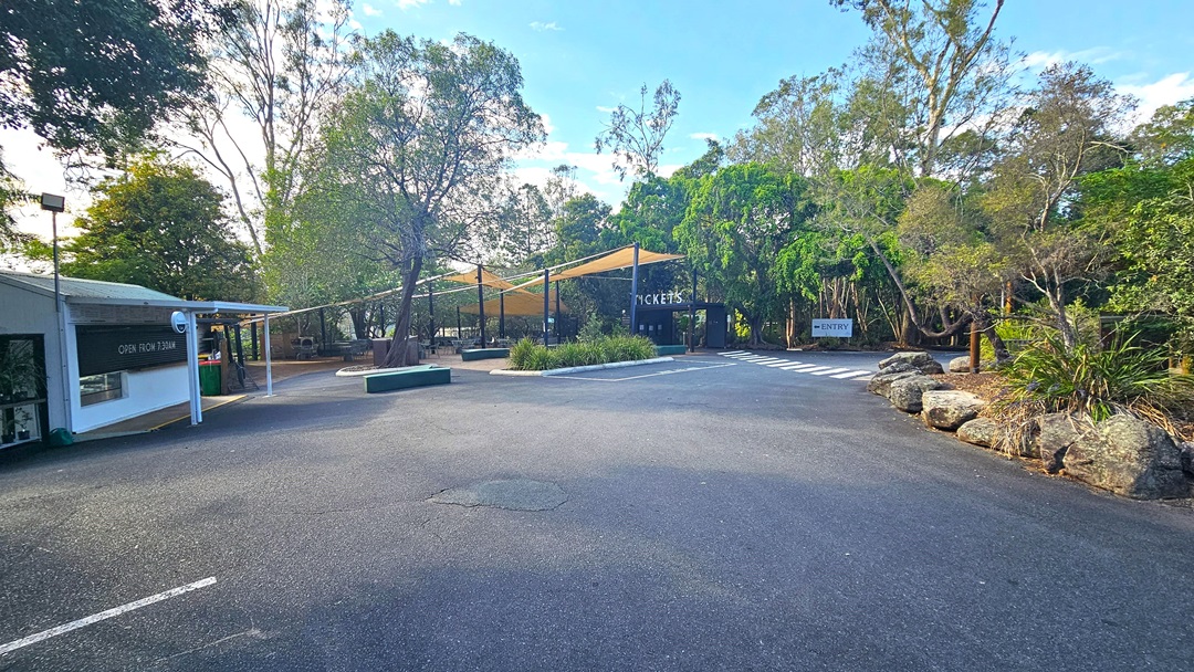Roadway near the Riverside Cafe. On the left, the Riverside Cafe is apparent with a sign that indicates the cafe will open at 7:30 A.M. Bushlands are prominent throughout the Lone Pine Koala Sanctuary. An entry sign is visible on the further right. On the rear, near the ticketing office sign, yellow shade nets are apparent. On the right side, huge rocks and trees, as well as white marking road lanes, are visible.