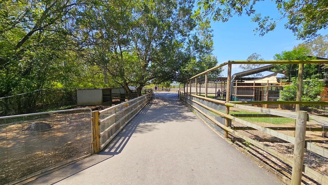 To the left is an animal enclosure with a steel chain fence. A shaded structure with a corrugated wall is positioned near the corner, where an animal is lying inside. To the right is another animal enclosure with a wooden and chain fence. Inside is a shaded structure, with two people standing inside and another one outside. In the middle of these two farm animal enclosures is a concrete path. Trees surround the area.
