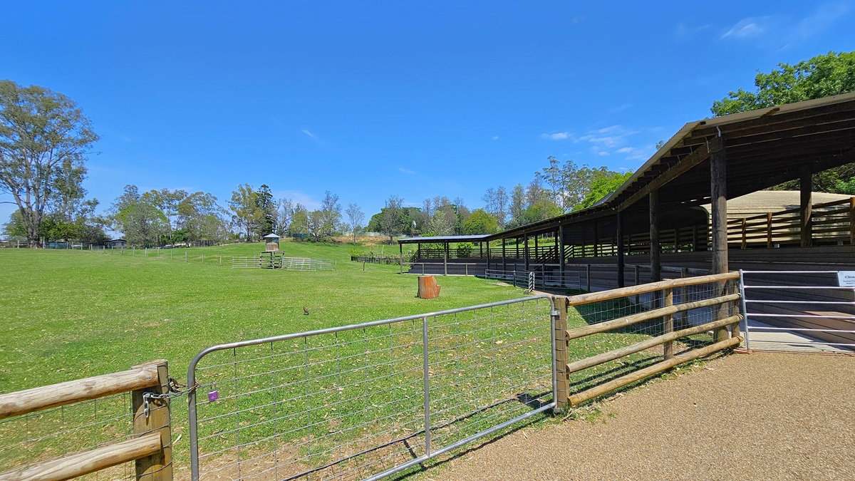 To the left is an animal enclosure with a wooden and chain metal fence, housing a wooden structure. On the right is a shaded structure enclosed by a wooden fence with a metal gate. The area is surrounded by green grass and tall trees.
