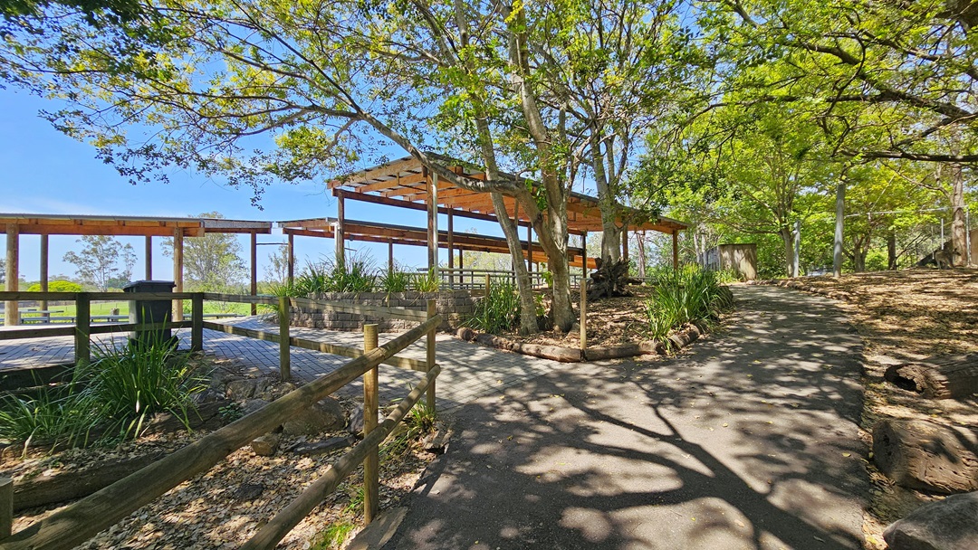 The ascending concrete pathway curves left, bordered by shaded structures and tiered seating. Enclosed by wooden and chain fences, the area features plants and trees on the left. On the right, the path ascends to another shaded structure, flanked by large stones and towering trees along the left boundary.