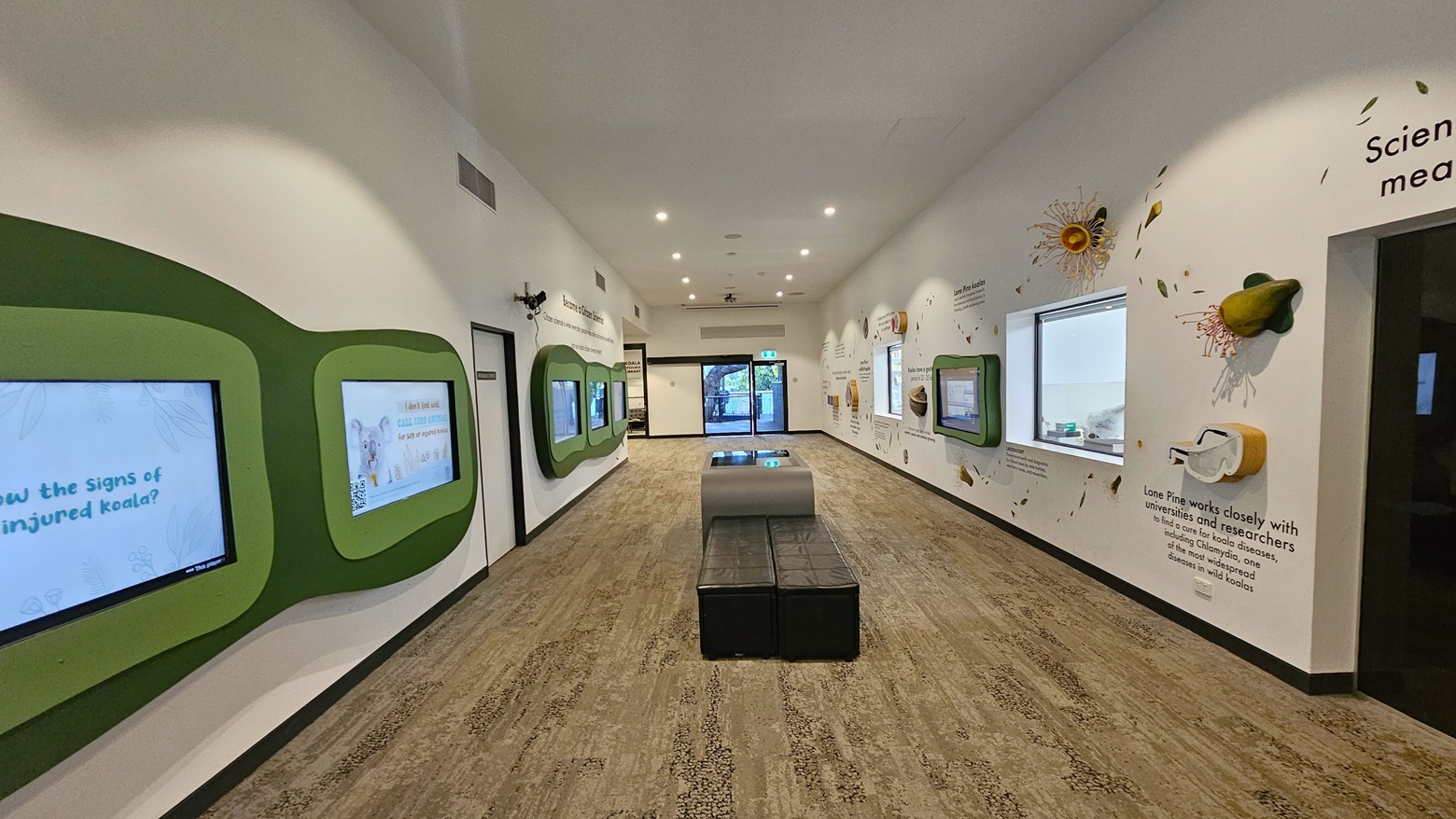 Inside the Brisbane Koala Science Institute. Colorful displays are prominent on most parts of the white walls. The spacious area features brown and cream carpeting. Five digital screens in green wooden frames are prominent on the left and one on the right. Decorative creature motifs are visible near the two glass windows on the right. Bench seatings are situated in the middle.