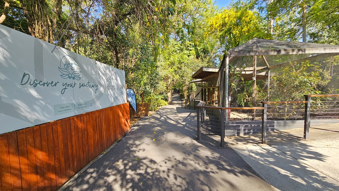 Walkway inside the sanctuary. On the left, a wooden wall fence and a whiteboard with a logo that has “Discover your sanctuary” written are prominent. Curved fences and a shed with plants inside are visible on the right. Massive trees are visibly soaring throughout the area.