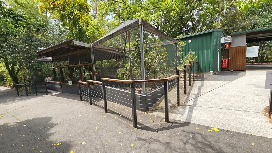 Walkway leading to a specific attraction inside the sanctuary. Two substantial timber and steel cages are situated on the corner of the walkway. Wall fences in black and brown hues provide a narrow pathway along the substantial timbers. On the rear, a green Colourbond shed is situated. Tall and massive trees visibly dominate the area.