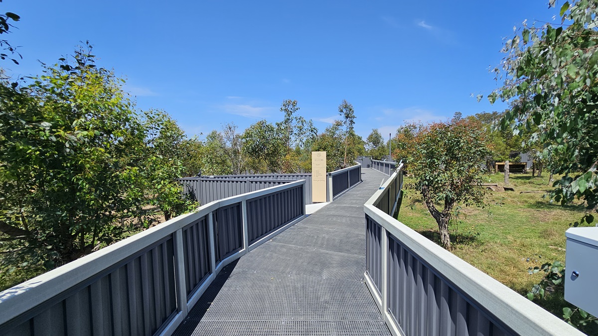 In the center lies a concrete ramp with concrete railings. The ramp splits into two, one turning left, while the other continues straight. Various trees including eucalyptus and grasses flank both sides. Further along, there's a shaded structure.