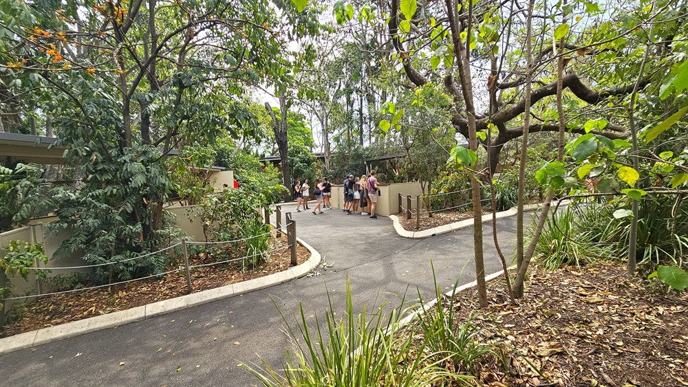 Walkways within the establishment. Three extensive gardens adorned with diverse ornaments, two of which are bordered by fences, run parallel to the expansive pathways. Towards the middle at the far end, a group of individuals seems to be enjoying a show the facility offers.