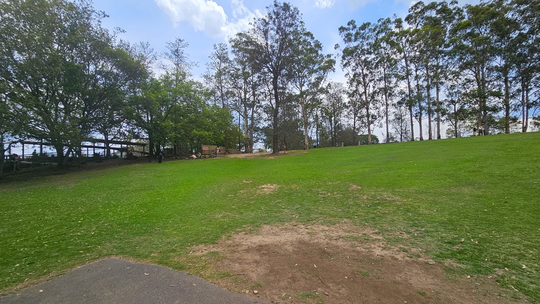 Inside the spacious Kangaroo habitat. Individuals are noticeable on the shaded parts of the numerous soaring trees at the back portion. Grasses are abundant throughout the area. A sizable shed is visible on the left side of the Kangaroo habitat.