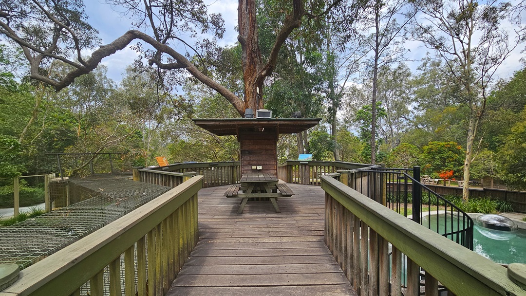 Another angle of the pathway inside the enclosure. A wooden table with two attached benches is prominent near the Treehouse. Behind it, a small timber structure with a wooden roof is situated. Next to the spiral stairs on the right, a man-made pond is apparent. On the left side of the walkway, a narrow steel cage is visible.