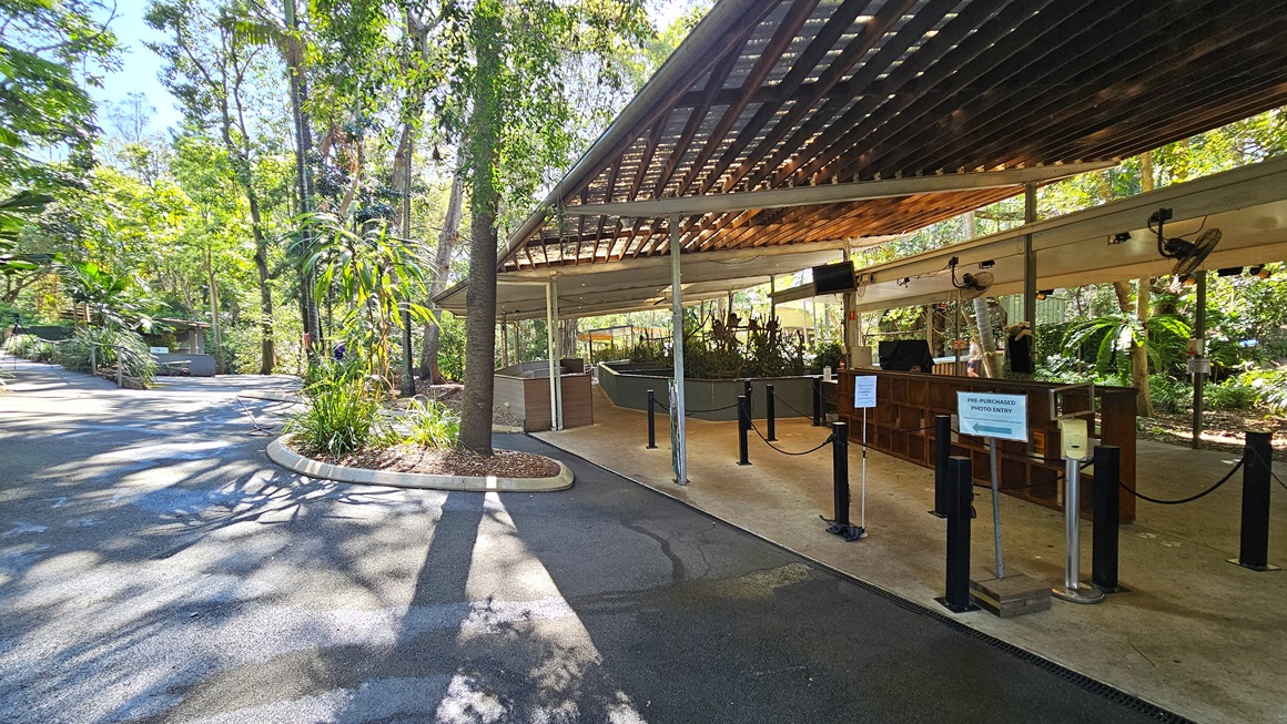 Entryway leading to a Koala enclosure. The entrance of the Koala enclosure is characterized by a combination of timber and corrugated iron, with strategically placed bollards directing the queue upon entry. Adjacent to the entrance, a small garden adorned with various plants and a towering tree is prominent.