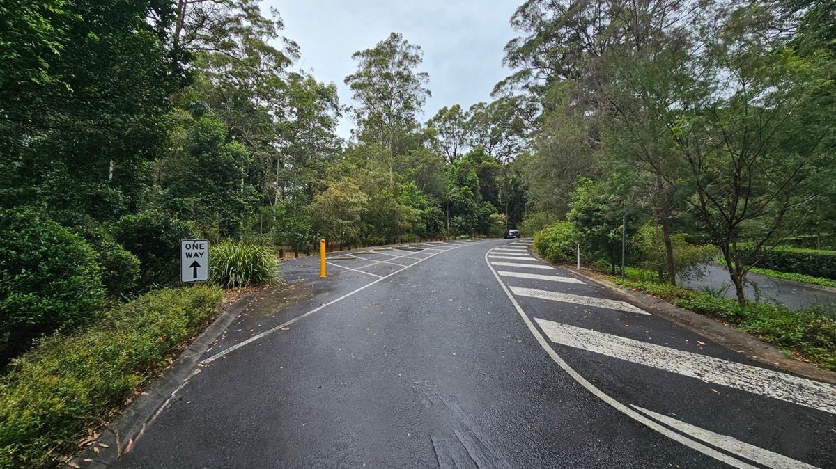 A winding road surrounded by dense greenery and tall trees. On the left, a "One Way" sign is visible near the edge of the road, with lush bushes and plants nearby. The road has white diagonal lines marking a parking area. On the right, more trees and shrubs line the road, with a small car visible in the distance. The road surface is wet, with scattered leaves.