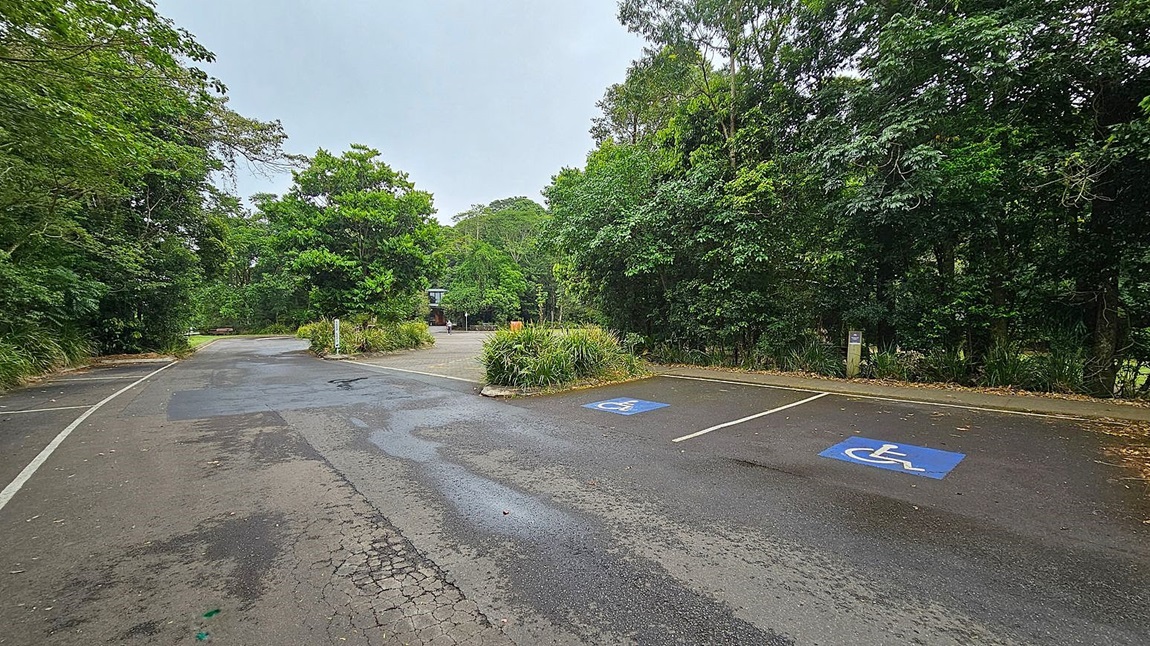 A paved parking area with two marked disabled parking spaces on the right. The surface shows signs of wear with some cracks and patches. Dense green foliage and trees surround the area on both sides, creating a natural border. In the background, a path leads further into the greenery, with a small structure visible in the distance. The scene is quiet and appears to be in a park or nature reserve.