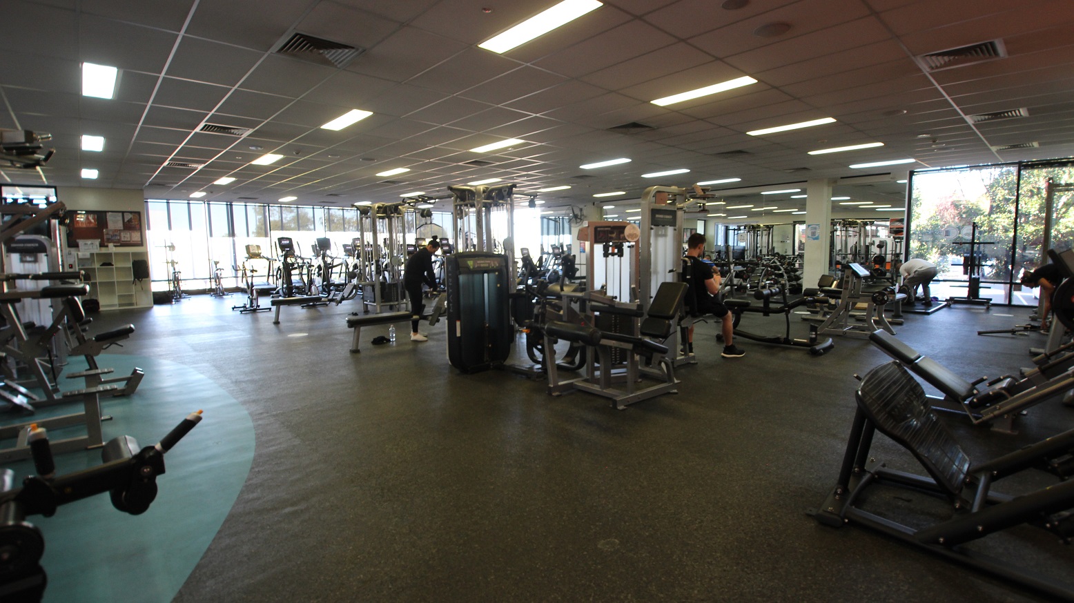 Resistance training equipment is directly in front, and cardio equipment is positioned across the floor-to-ceiling glass windows. The gym is a modest space with modern equipment, low ceilings, and bright lighting with grey rubber flooring. The natural environment surrounding the venue can be seen through the glass windows.
