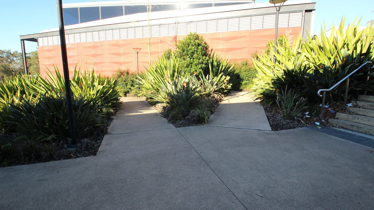 Further down the stair, on the right, is a diverging concrete pathway in between the garden. The garden is full of plants from the succulent family mixed with bushes. There are also lamp posts in this area.