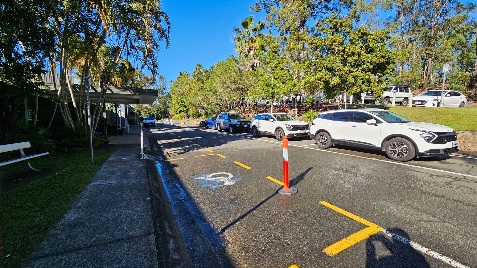 A street scene with a row of parked cars on the right, including a white SUV. A pavement runs along the left side, bordered by grass and a bench. Palm trees and other greenery are visible on the left, with a building partially obscured by foliage. A traffic cone and a disabled parking symbol are painted on the road. The background features more trees and parked cars on a grassy incline. Shadows are cast on the pavement, indicating sunlight.
