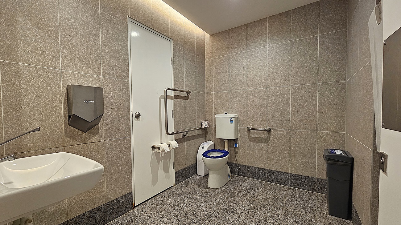 On the left, a white sink with a sleek faucet is mounted on the wall, with a Dyson hand dryer above it. To the right, a black waste bin is positioned near the wall. In the middle, a white toilet with a blue seat cover is equipped with metal grab bars on both sides and a toilet paper holder on the left. The floor is covered in grey speckled tiles, and the walls are tiled in a light grey colour. The ceiling is white with recessed lighting.