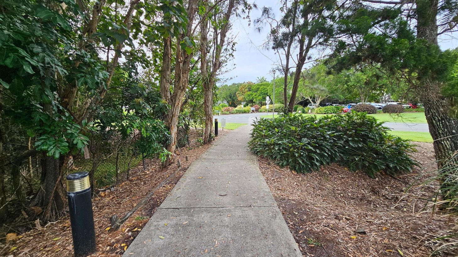 A concrete path leads through a wooded area with dense green foliage on both sides. On the left, there's a black bollard light and a wire fence partially visible through the trees. On the right, low shrubs and mulch line the path. In the background, the path opens to a grassy area with parked cars and more trees, including a white signpost. The scene is lush and green, suggesting a park or garden setting.