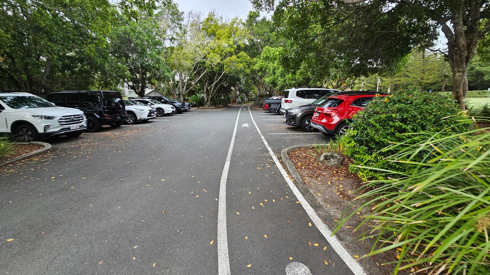 A car park with vehicles lined up on both sides. On the left, there are several cars, including a white SUV and a black vehicle. On the right, a red car is visible among others. The ground is covered with scattered leaves, and a white arrow is painted on the tarmac, indicating the direction of travel. Surrounding the area are lush green trees and bushes, creating a shaded environment.