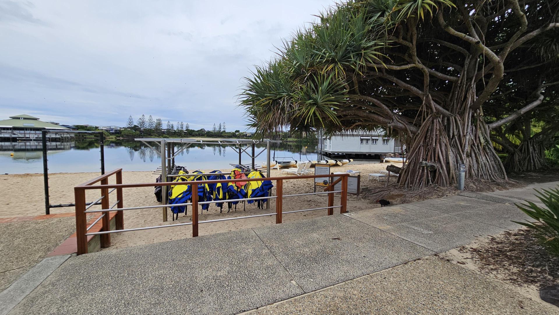 A sandy area with a row of yellow and blue life jackets hanging on a rack in the centre. To the right, a large tree with thick, twisting roots and branches provides shade. A paved path runs alongside the tree. In the background, calm water reflects nearby buildings and trees. A small structure is visible near the water's edge.