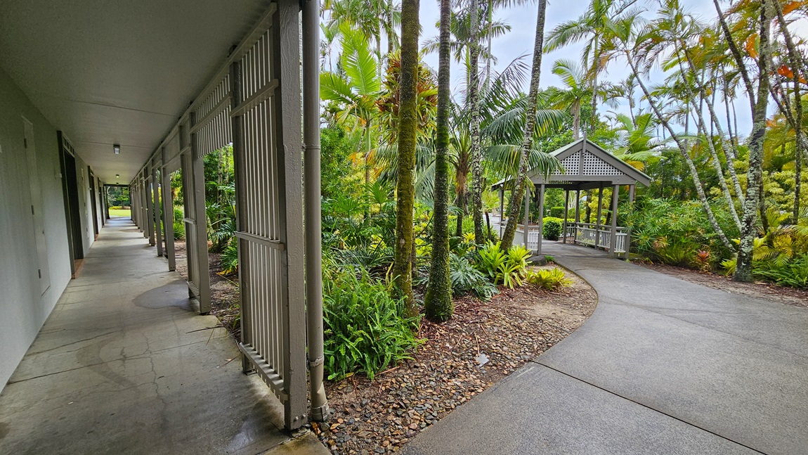 On the left, a garden bed with various green shrubs and a large tree is adjacent to a building with a green roof. To the right, another garden bed with neatly trimmed bushes and a tree is next to a grey fence. In the middle, a covered concrete walkway with grey pillars leads to a glass door entrance. The floor is concrete, and the ceiling is a flat, beige cover with recessed lighting.