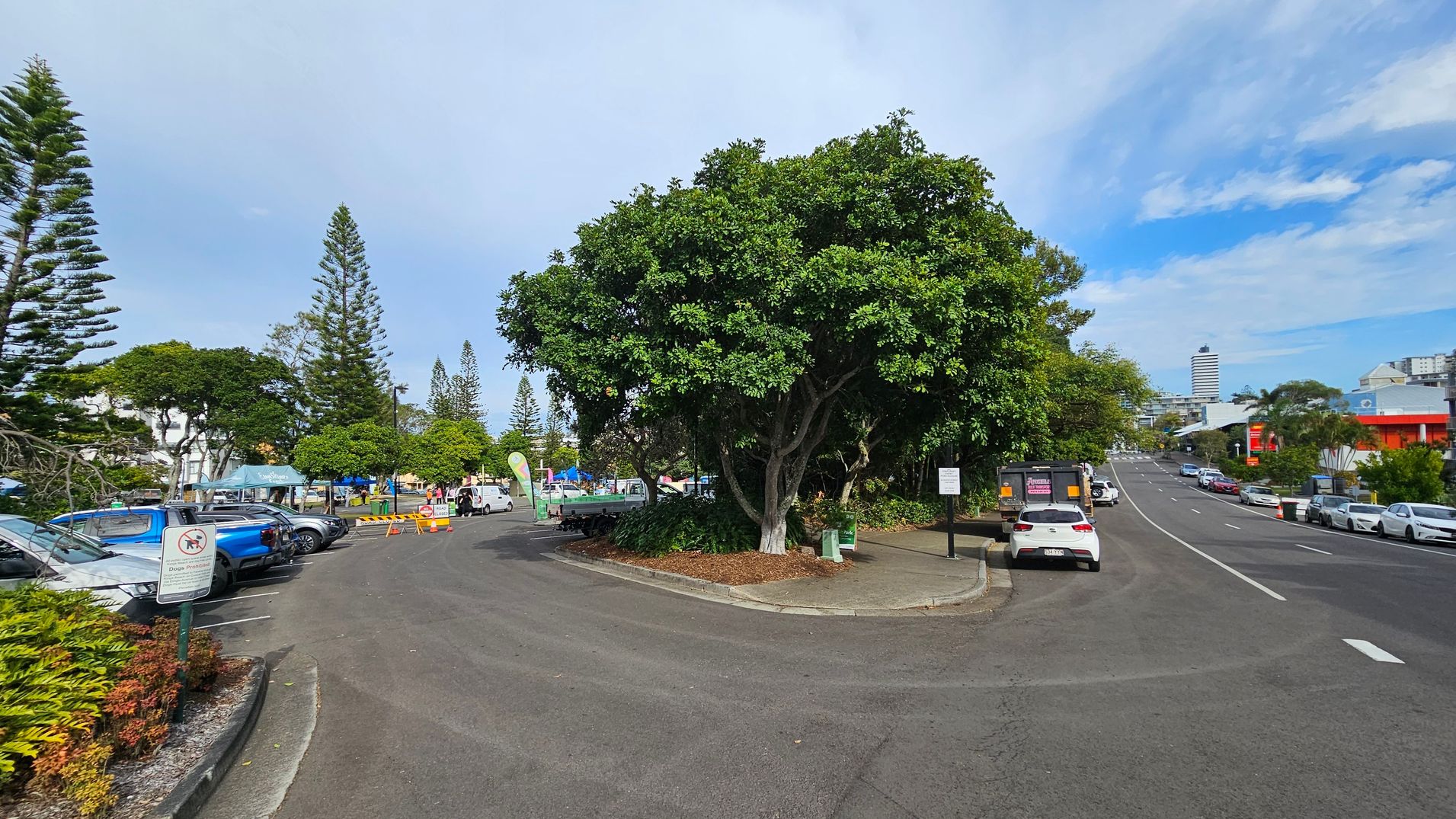 A street scene with a large tree in the centre surrounded by a small landscaped area. On the left, there is a car park with several vehicles and a sign prohibiting dogs. In the background, there are more trees and a few market stalls with blue canopies. On the right, a road lined with parked cars leads towards a distant cityscape with tall buildings. The road is bordered by a pavement and a red building is visible further down.
