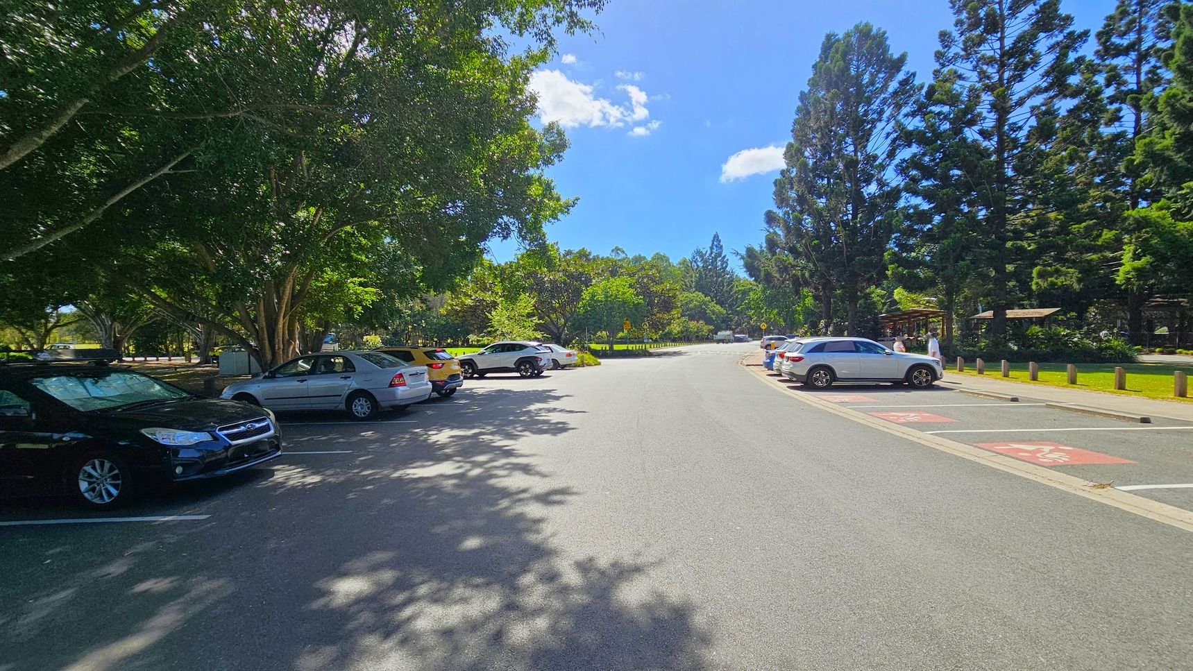 A car park with vehicles on both sides. On the left, several cars are parked under large, leafy trees providing shade. On the right, more cars are parked with tall, slender trees in the background. The road in the middle is clear, leading to a distant area with more greenery. The ground is paved, and there are a few people near a white car on the right. The scene is bright with sunlight filtering through the trees.