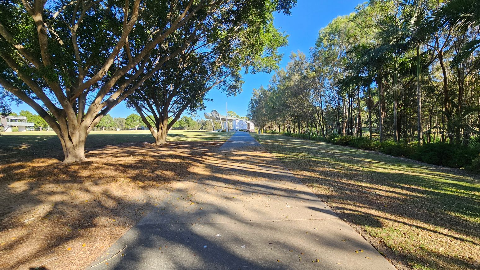 A paved path runs through a park, flanked by large trees on both sides casting shadows on the ground. On the left, there is an open grassy area with more trees in the distance. On the right, a dense line of trees and bushes creates a natural border. In the centre, a modern structure with a curved roof is visible at the end of the path. The sky is clear and blue, and the ground is covered with fallen leaves.