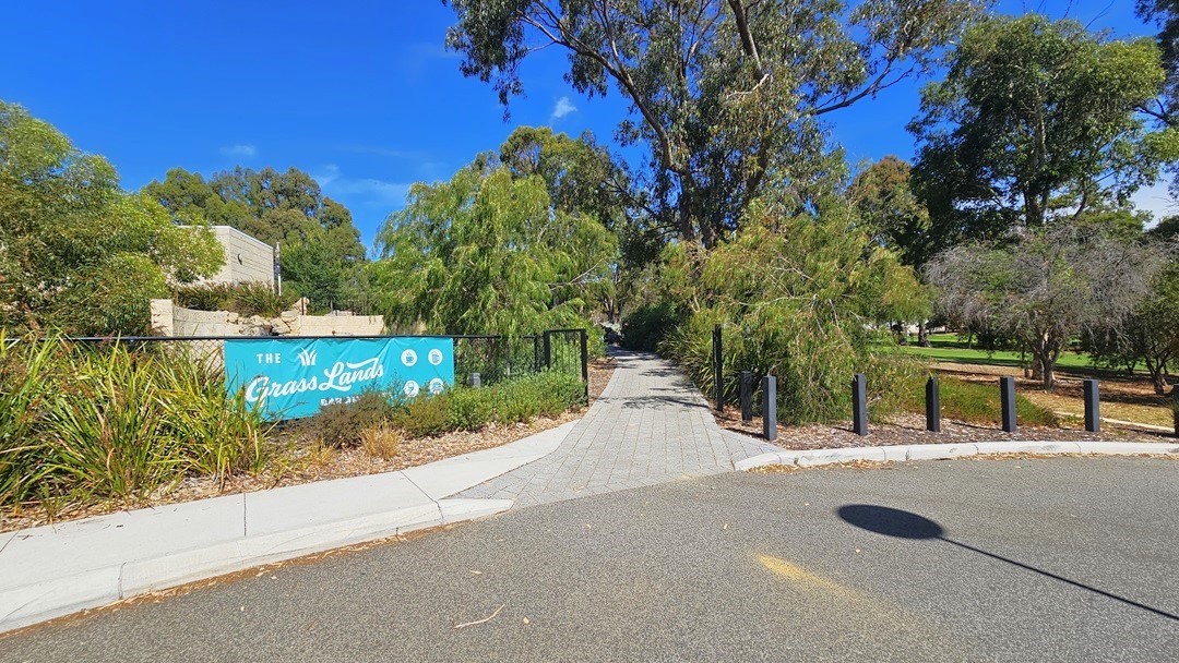 An accessible car parking space marked by a blue wheelchair sign. On the left, there is a white car parked. The path on the right elevates. Tall native trees and shrubs border the path. There is an elevated concrete pathway on the left serving as a pedestrian lane.
